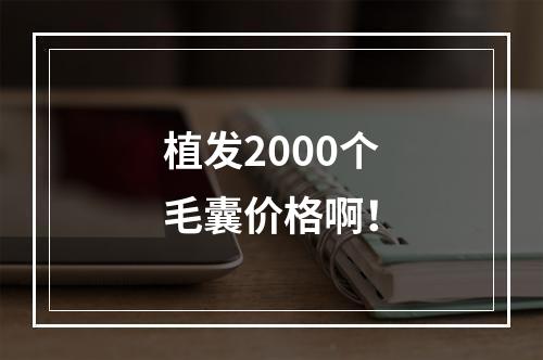 植发2000个毛囊价格啊！