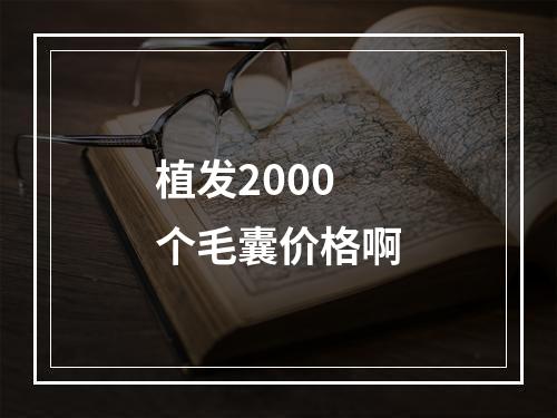 植发2000个毛囊价格啊