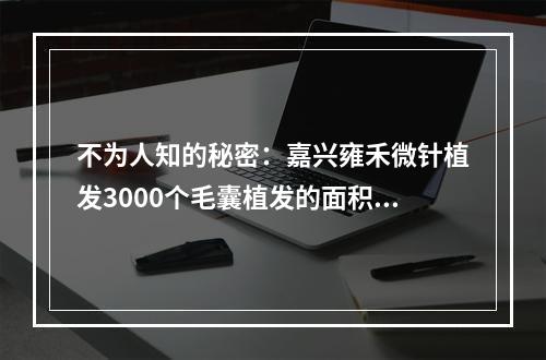 不为人知的秘密：嘉兴雍禾微针植发3000个毛囊植发的面积到底是多少？