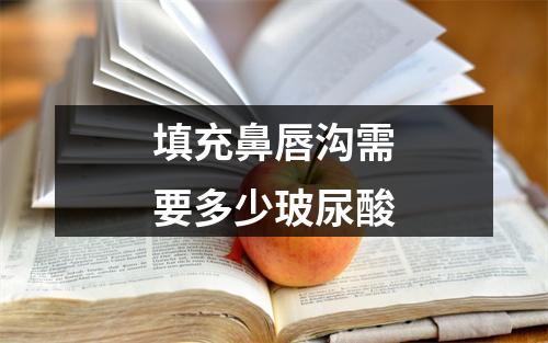 填充鼻唇沟需要多少玻尿酸