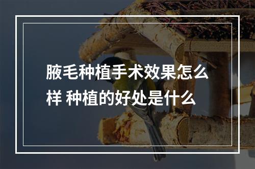 腋毛种植手术效果怎么样 种植的好处是什么