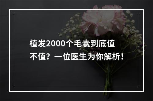 植发2000个毛囊到底值不值？一位医生为你解析！