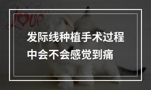 发际线种植手术过程中会不会感觉到痛