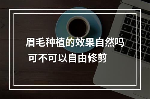 眉毛种植的效果自然吗 可不可以自由修剪