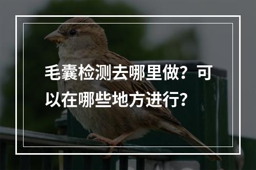 毛囊检测去哪里做？可以在哪些地方进行？