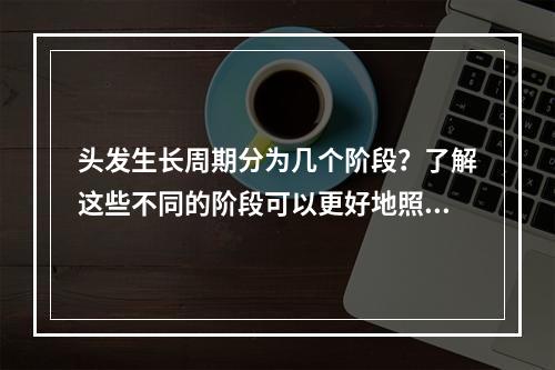 头发生长周期分为几个阶段？了解这些不同的阶段可以更好地照顾头发