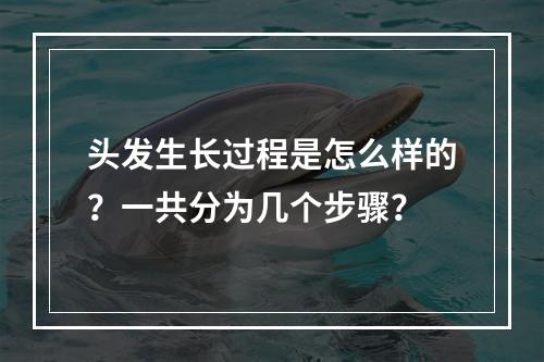 头发生长过程是怎么样的？一共分为几个步骤？