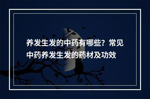 养发生发的中药有哪些？常见中药养发生发的药材及功效