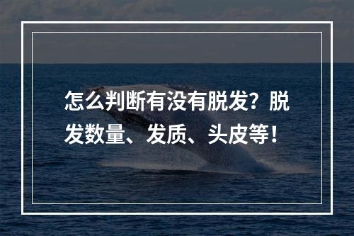 怎么判断有没有脱发？脱发数量、发质、头皮等！