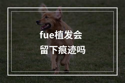 fue植发会留下痕迹吗