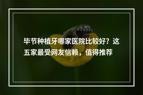 毕节种植牙哪家医院比较好？这五家最受网友信赖，值得推荐