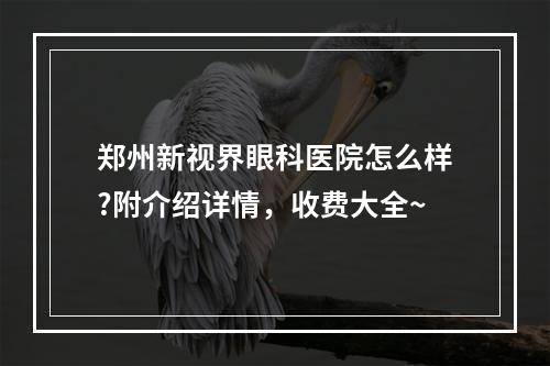 郑州新视界眼科医院怎么样?附介绍详情，收费大全~