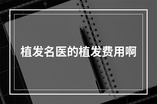 植发名医的植发费用啊