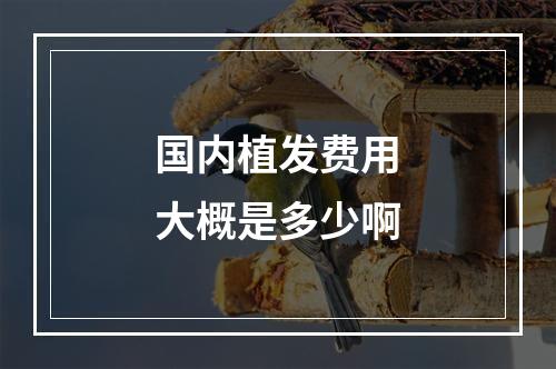 国内植发费用大概是多少啊