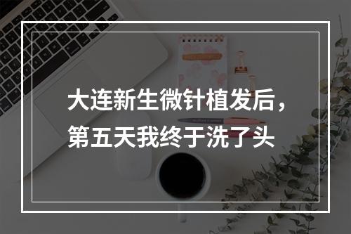 大连新生微针植发后，第五天我终于洗了头