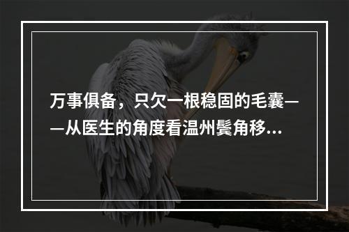 万事俱备，只欠一根稳固的毛囊——从医生的角度看温州鬓角移植后毛囊稳固时间