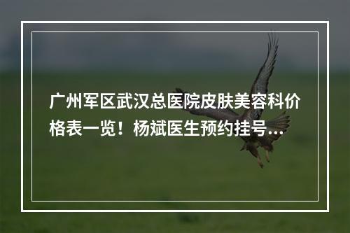 广州军区武汉总医院皮肤美容科价格表一览！杨斌医生预约挂号分享