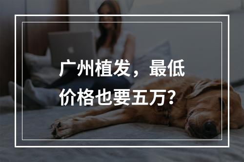 广州植发，最低价格也要五万？