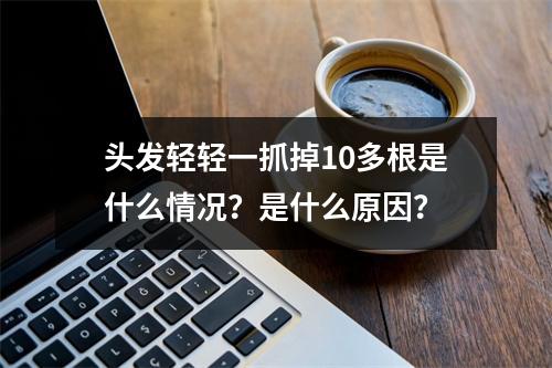 头发轻轻一抓掉10多根是什么情况？是什么原因？