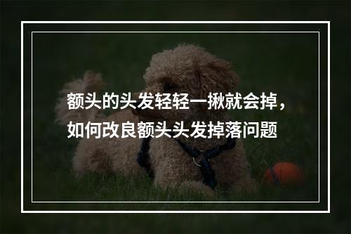 额头的头发轻轻一揪就会掉，如何改良额头头发掉落问题