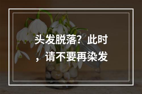 头发脱落？此时，请不要再染发