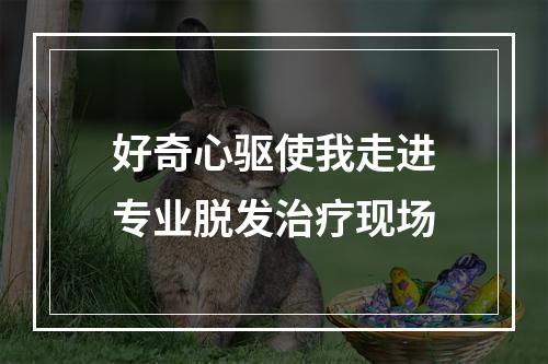 好奇心驱使我走进专业脱发治疗现场