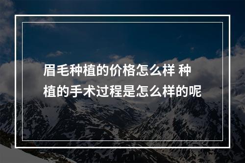 眉毛种植的价格怎么样 种植的手术过程是怎么样的呢