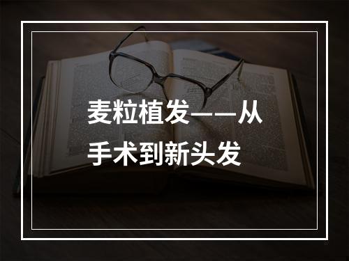 麦粒植发——从手术到新头发