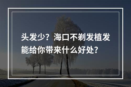 头发少？海口不剃发植发能给你带来什么好处？