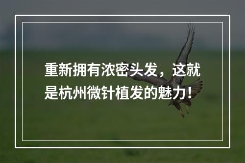 重新拥有浓密头发，这就是杭州微针植发的魅力！