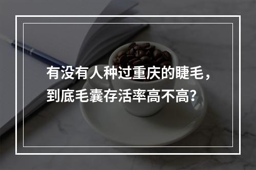 有没有人种过重庆的睫毛，到底毛囊存活率高不高？