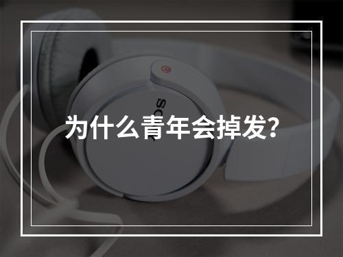 为什么青年会掉发？