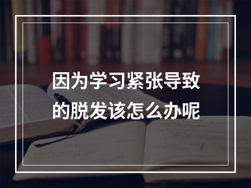 因为学习紧张导致的脱发该怎么办呢