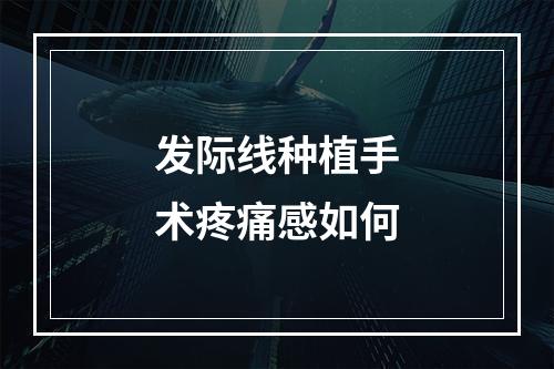 发际线种植手术疼痛感如何