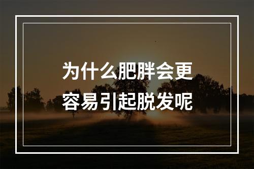 为什么肥胖会更容易引起脱发呢