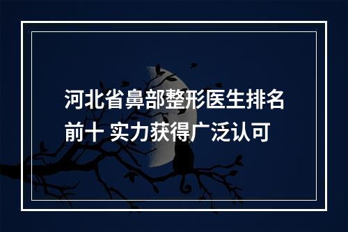 河北省鼻部整形医生排名前十 实力获得广泛认可