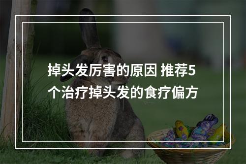 掉头发厉害的原因 推荐5个治疗掉头发的食疗偏方