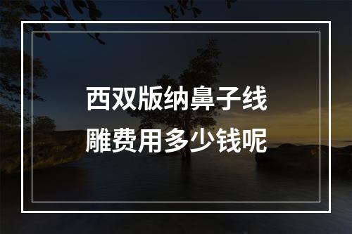 西双版纳鼻子线雕费用多少钱呢