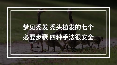 梦见秃发 秃头植发的七个必要步骤 四种手法很安全