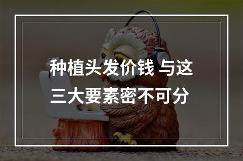 种植头发价钱 与这三大要素密不可分