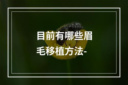 目前有哪些眉毛移植方法-