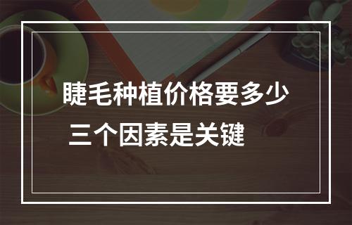 睫毛种植价格要多少 三个因素是关键