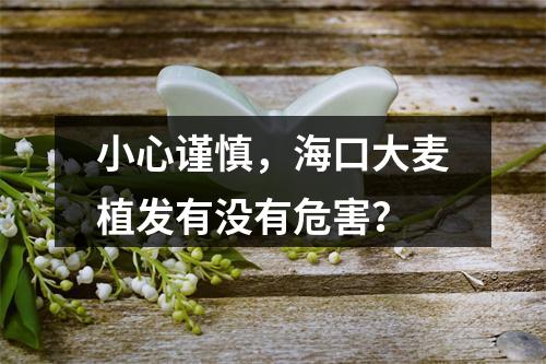 小心谨慎，海口大麦植发有没有危害？