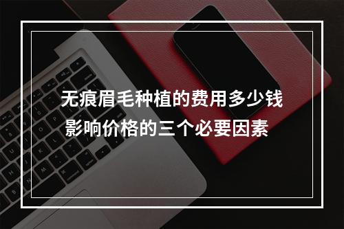 无痕眉毛种植的费用多少钱 影响价格的三个必要因素