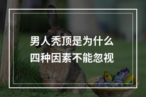 男人秃顶是为什么 四种因素不能忽视