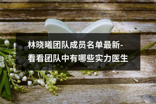 林晓曦团队成员名单最新-看看团队中有哪些实力医生