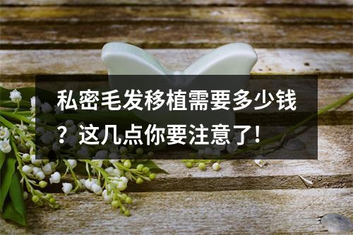 私密毛发移植需要多少钱？这几点你要注意了!