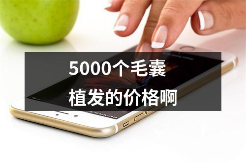 5000个毛囊植发的价格啊