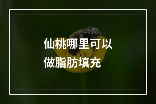 仙桃哪里可以做脂肪填充