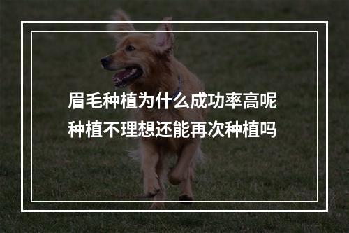 眉毛种植为什么成功率高呢 种植不理想还能再次种植吗